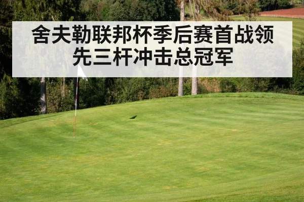 舍夫勒联邦杯季后赛首战领先三杆冲击总冠军