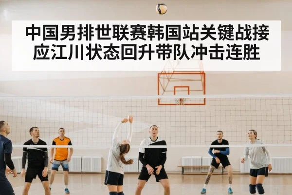 chinese volleyball team